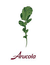 Arucola