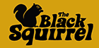 Black Squirrel logo