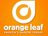 Orange Leaf Frozen Yogurt